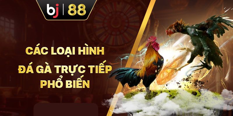 Tổng hợp ưu điểm của BJ88 đá gà trực tiếp