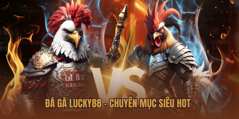 Dịch vụ đá gà Lucky88 cung cấp đa dạng trận đấu hấp dẫn