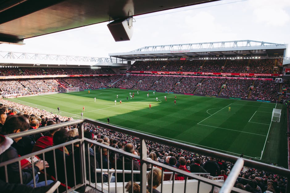 Cập nhật trước trận Brentford vs Crystal Palace – 21:00 ngày 17/05