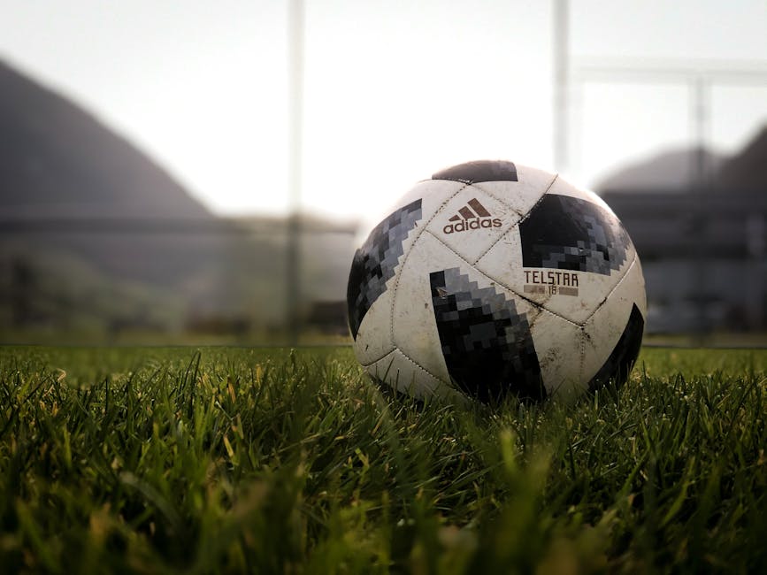 Trái bóng Adidas trên sân cỏ Thụy Sĩ